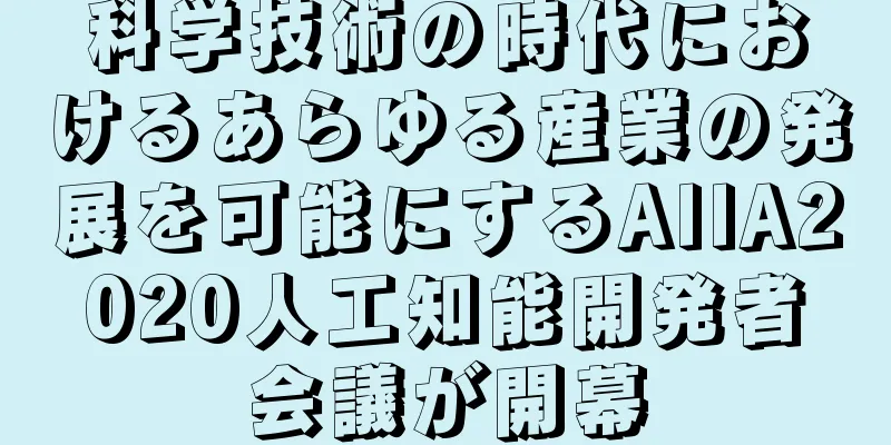 科学技術の時代におけるあらゆる産業の発展を可能にするAIIA2020人工知能開発者会議が開幕