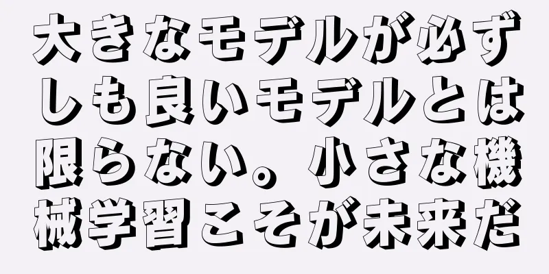 大きなモデルが必ずしも良いモデルとは限らない。小さな機械学習こそが未来だ
