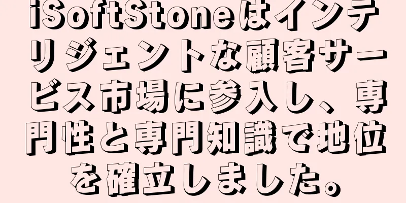 iSoftStoneはインテリジェントな顧客サービス市場に参入し、専門性と専門知識で地位を確立しました。