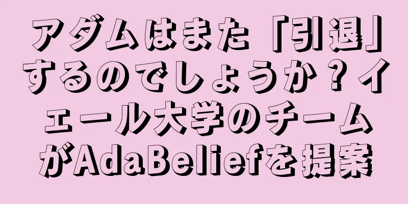 アダムはまた「引退」するのでしょうか？イェール大学のチームがAdaBeliefを提案