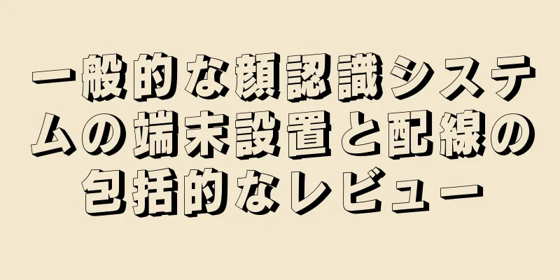 一般的な顔認識システムの端末設置と配線の包括的なレビュー