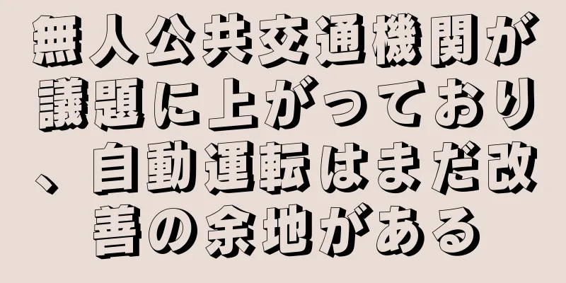 無人公共交通機関が議題に上がっており、自動運転はまだ改善の余地がある