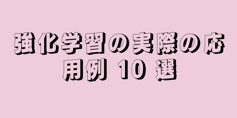 強化学習の実際の応用例 10 選