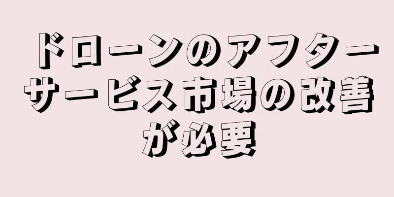 ドローンのアフターサービス市場の改善が必要