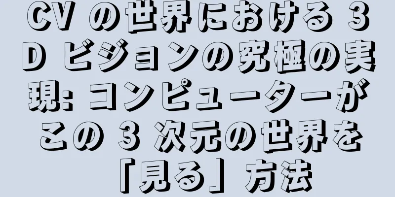 CV の世界における 3D ビジョンの究極の実現: コンピューターがこの 3 次元の世界を「見る」方法