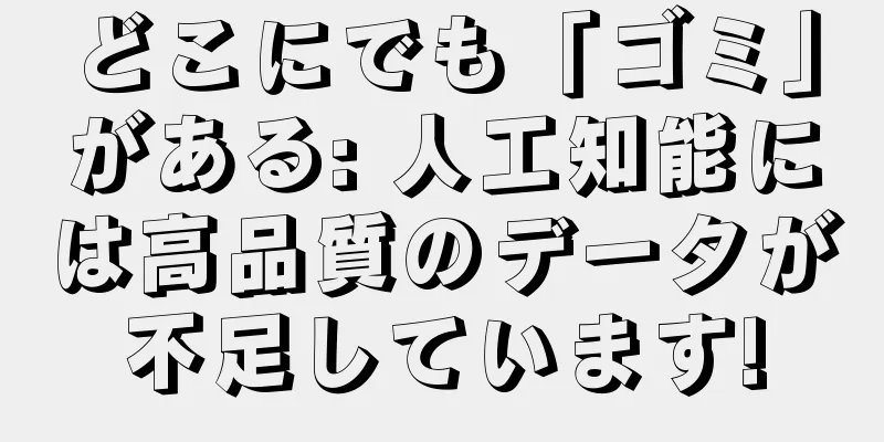 どこにでも「ゴミ」がある: 人工知能には高品質のデータが不足しています!