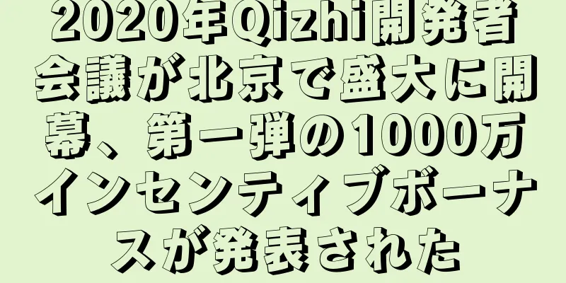 2020年Qizhi開発者会議が北京で盛大に開幕、第一弾の1000万インセンティブボーナスが発表された