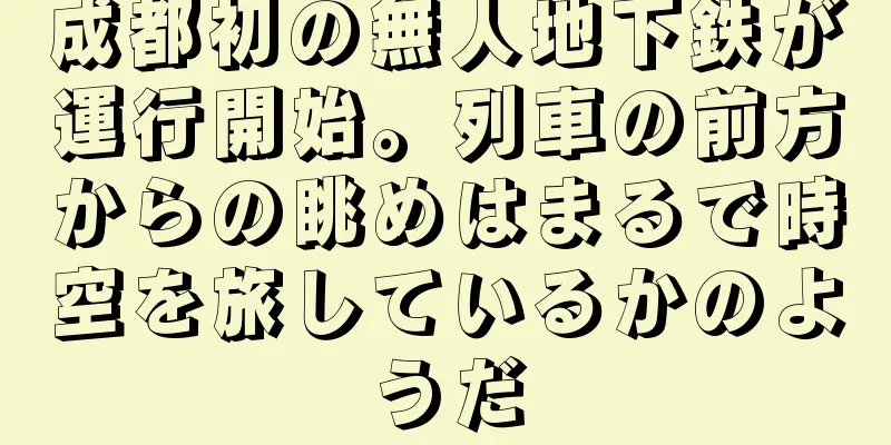 成都初の無人地下鉄が運行開始。列車の前方からの眺めはまるで時空を旅しているかのようだ