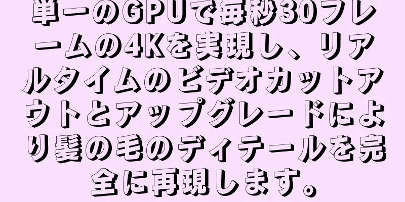 単一のGPUで毎秒30フレームの4Kを実現し、リアルタイムのビデオカットアウトとアップグレードにより髪の毛のディテールを完全に再現します。