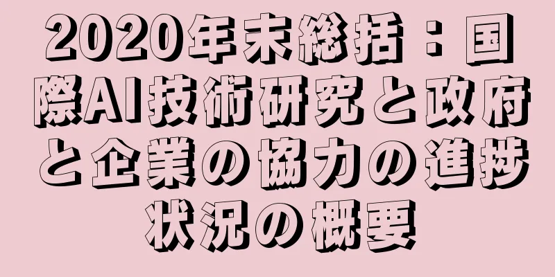 2020年末総括：国際AI技術研究と政府と企業の協力の進捗状況の概要