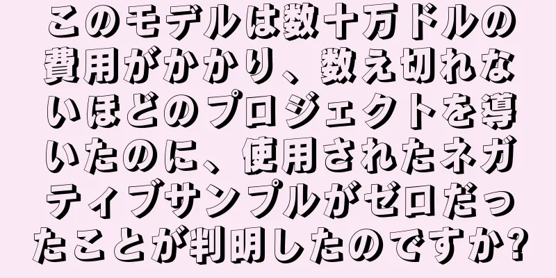 このモデルは数十万ドルの費用がかかり、数え切れないほどのプロジェクトを導いたのに、使用されたネガティブサンプルがゼロだったことが判明したのですか?