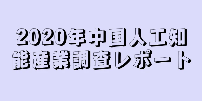 2020年中国人工知能産業調査レポート