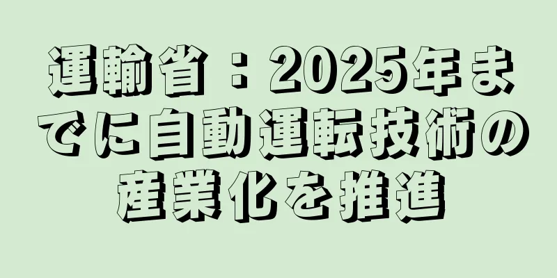 運輸省：2025年までに自動運転技術の産業化を推進