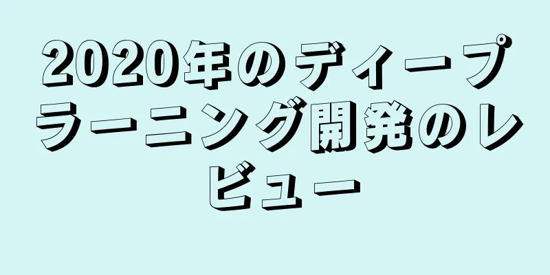 2020年のディープラーニング開発のレビュー