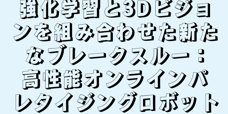 強化学習と3Dビジョンを組み合わせた新たなブレークスルー：高性能オンラインパレタイジングロボット