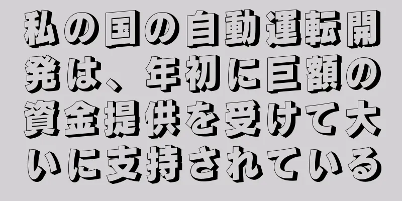 私の国の自動運転開発は、年初に巨額の資金提供を受けて大いに支持されている