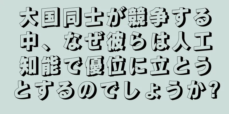 大国同士が競争する中、なぜ彼らは人工知能で優位に立とうとするのでしょうか?