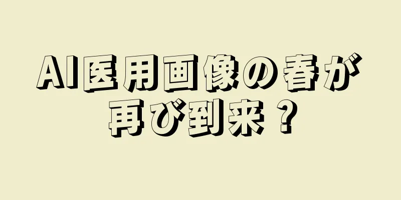 AI医用画像の春が再び到来？