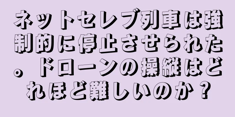 ネットセレブ列車は強制的に停止させられた。ドローンの操縦はどれほど難しいのか？