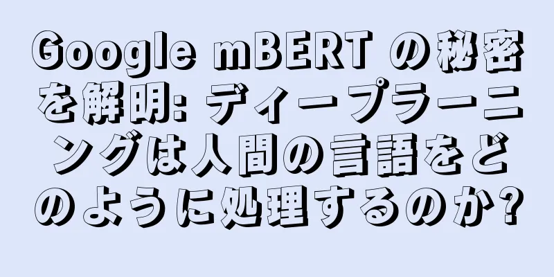 Google mBERT の秘密を解明: ディープラーニングは人間の言語をどのように処理するのか?