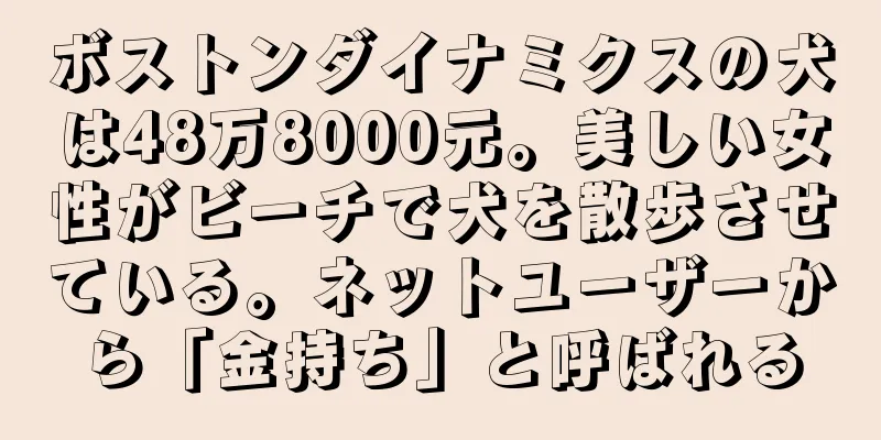ボストンダイナミクスの犬は48万8000元。美しい女性がビーチで犬を散歩させている。ネットユーザーから「金持ち」と呼ばれる