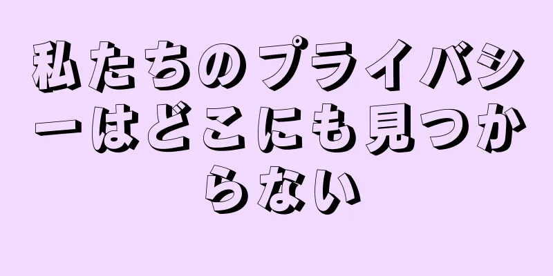 私たちのプライバシーはどこにも見つからない