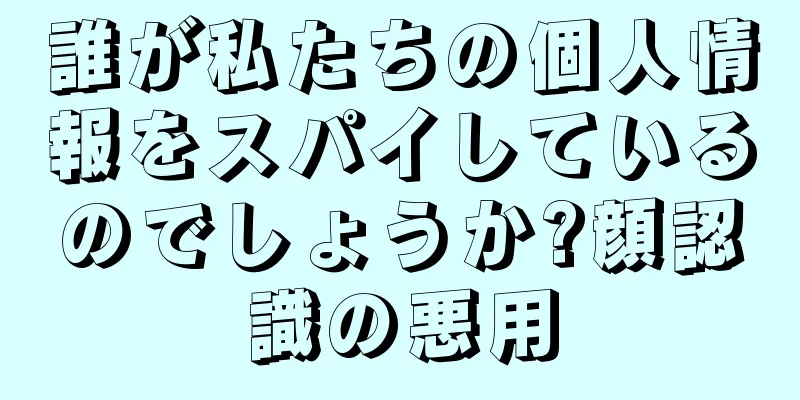 誰が私たちの個人情報をスパイしているのでしょうか?顔認識の悪用