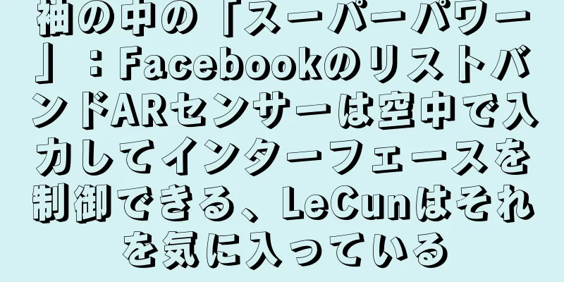 袖の中の「スーパーパワー」：FacebookのリストバンドARセンサーは空中で入力してインターフェースを制御できる、LeCunはそれを気に入っている