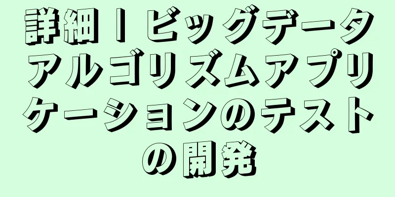 詳細 | ビッグデータアルゴリズムアプリケーションのテストの開発