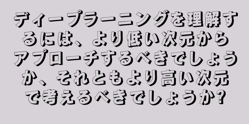 ディープラーニングを理解するには、より低い次元からアプローチするべきでしょうか、それともより高い次元で考えるべきでしょうか?