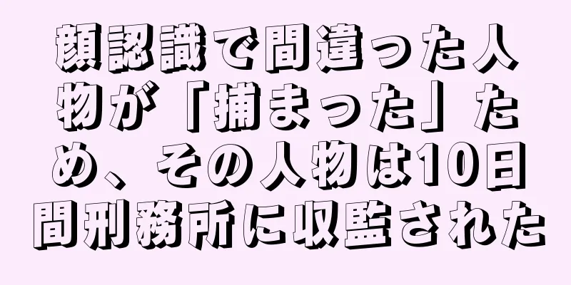 顔認識で間違った人物が「捕まった」ため、その人物は10日間刑務所に収監された