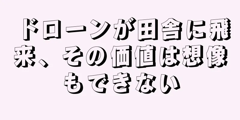 ドローンが田舎に飛来、その価値は想像もできない