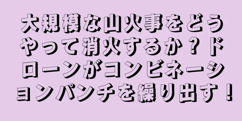 大規模な山火事をどうやって消火するか？ドローンがコンビネーションパンチを繰り出す！