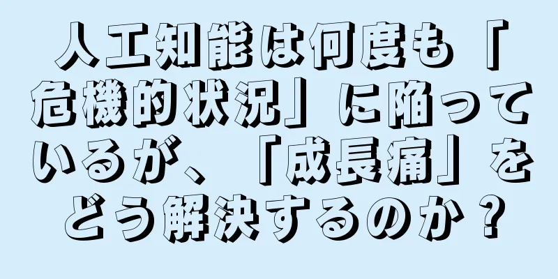 人工知能は何度も「危機的状況」に陥っているが、「成長痛」をどう解決するのか？