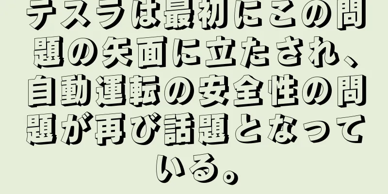 テスラは最初にこの問題の矢面に立たされ、自動運転の安全性の問題が再び話題となっている。