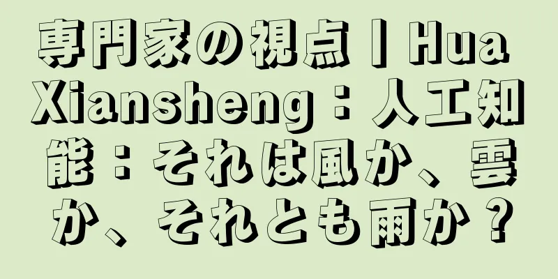 専門家の視点丨Hua Xiansheng：人工知能：それは風か、雲か、それとも雨か？