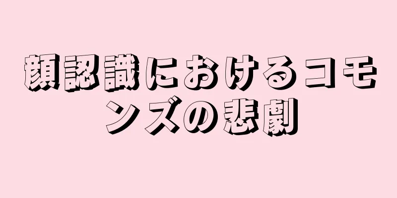 顔認識におけるコモンズの悲劇