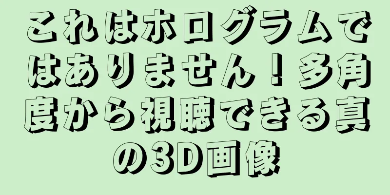 これはホログラムではありません！多角度から視聴できる真の3D画像