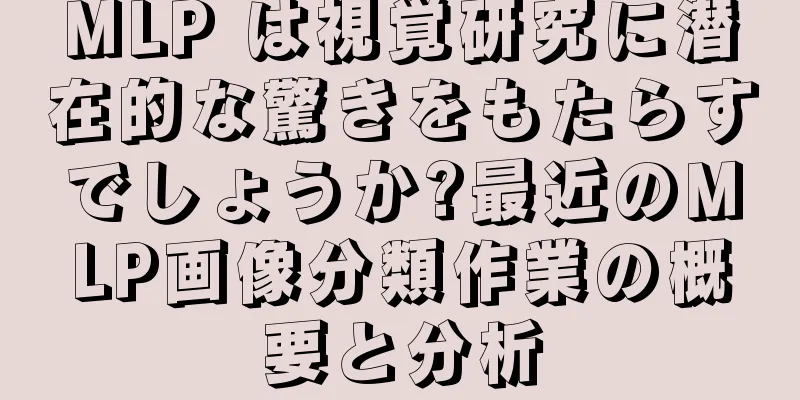 MLP は視覚研究に潜在的な驚きをもたらすでしょうか?最近のMLP画像分類作業の概要と分析