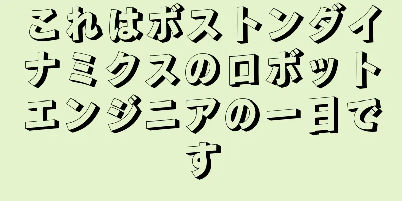 これはボストンダイナミクスのロボットエンジニアの一日です