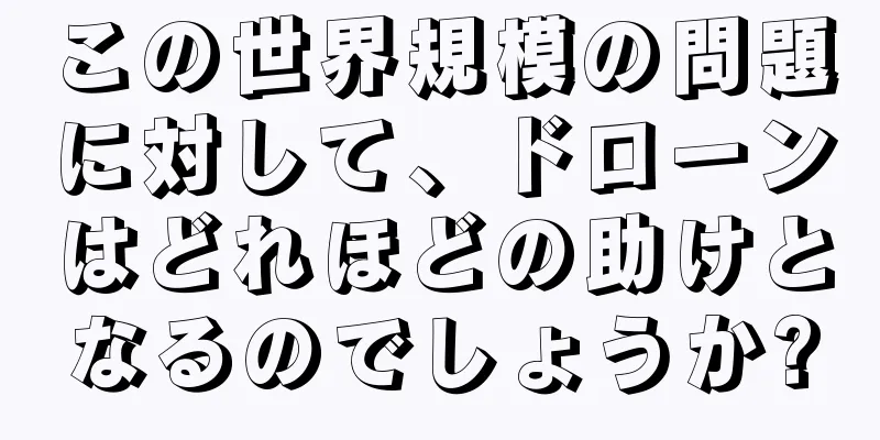 この世界規模の問題に対して、ドローンはどれほどの助けとなるのでしょうか?