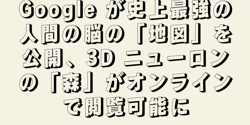 Google が史上最強の人間の脳の「地図」を公開、3D ニューロンの「森」がオンラインで閲覧可能に