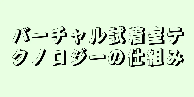 バーチャル試着室テクノロジーの仕組み