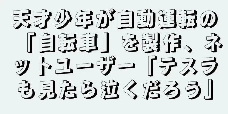 天才少年が自動運転の「自転車」を製作、ネットユーザー「テスラも見たら泣くだろう」