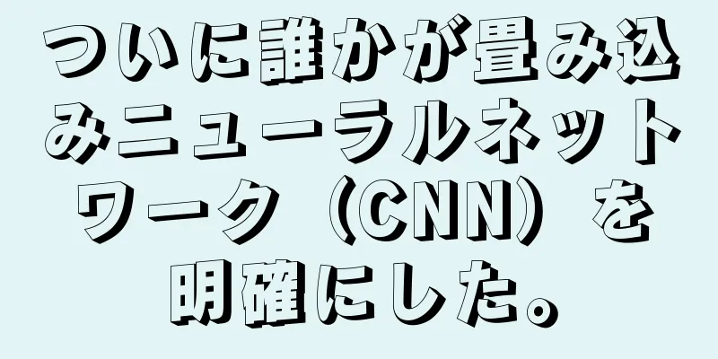 ついに誰かが畳み込みニューラルネットワーク（CNN）を明確にした。