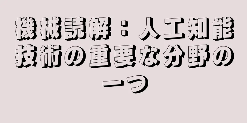 機械読解：人工知能技術の重要な分野の一つ