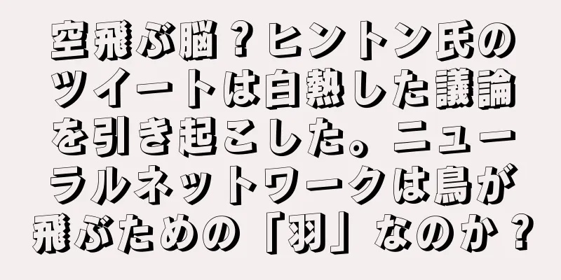 空飛ぶ脳？ヒントン氏のツイートは白熱した議論を引き起こした。ニューラルネットワークは鳥が飛ぶための「羽」なのか？