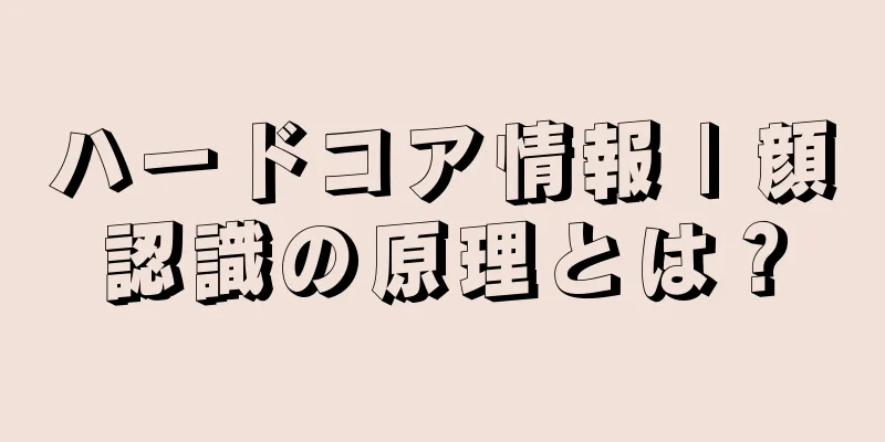 ハードコア情報 | 顔認識の原理とは？
