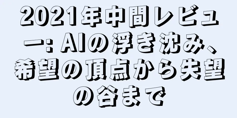 2021年中間レビュー: AIの浮き沈み、希望の頂点から失望の谷まで