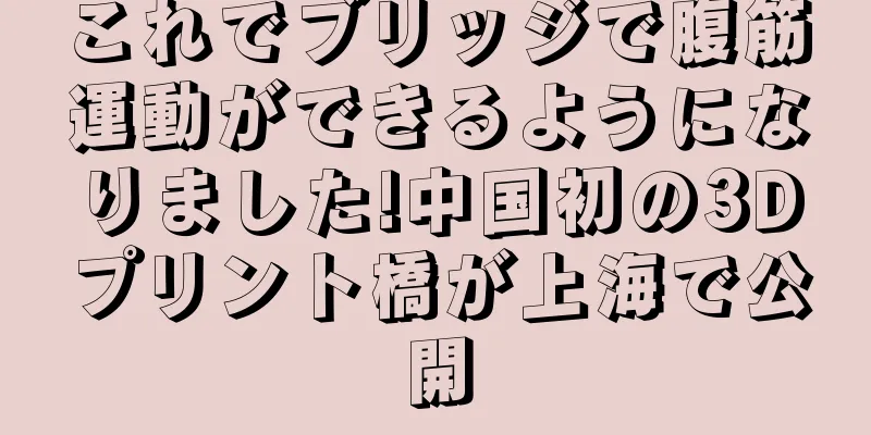 これでブリッジで腹筋運動ができるようになりました!中国初の3Dプリント橋が上海で公開